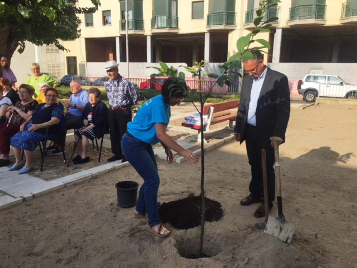 El alcalde participó en la siembra del árbol de Don Benito. :: hoy