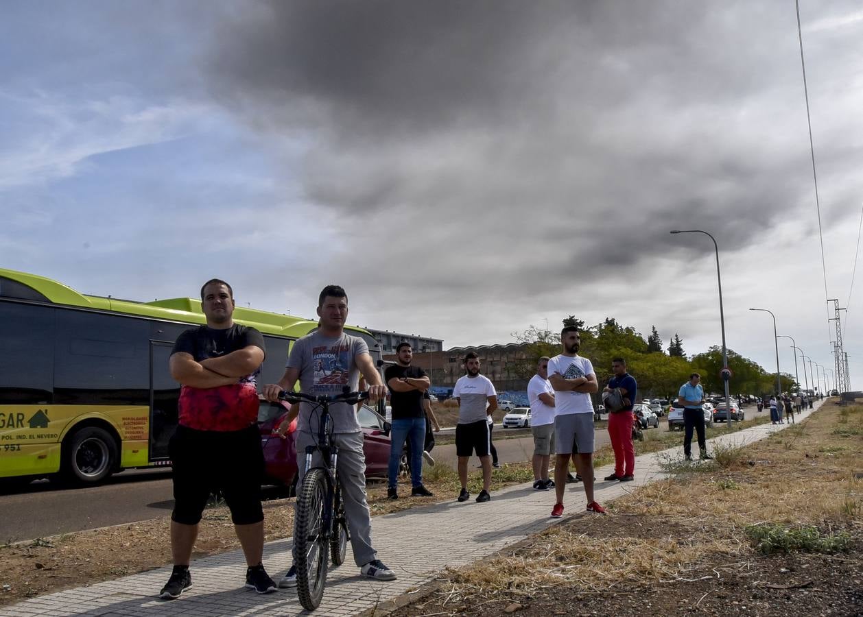 Fotos: Columna de humo causada por el incendio de la panificadora en Badajoz