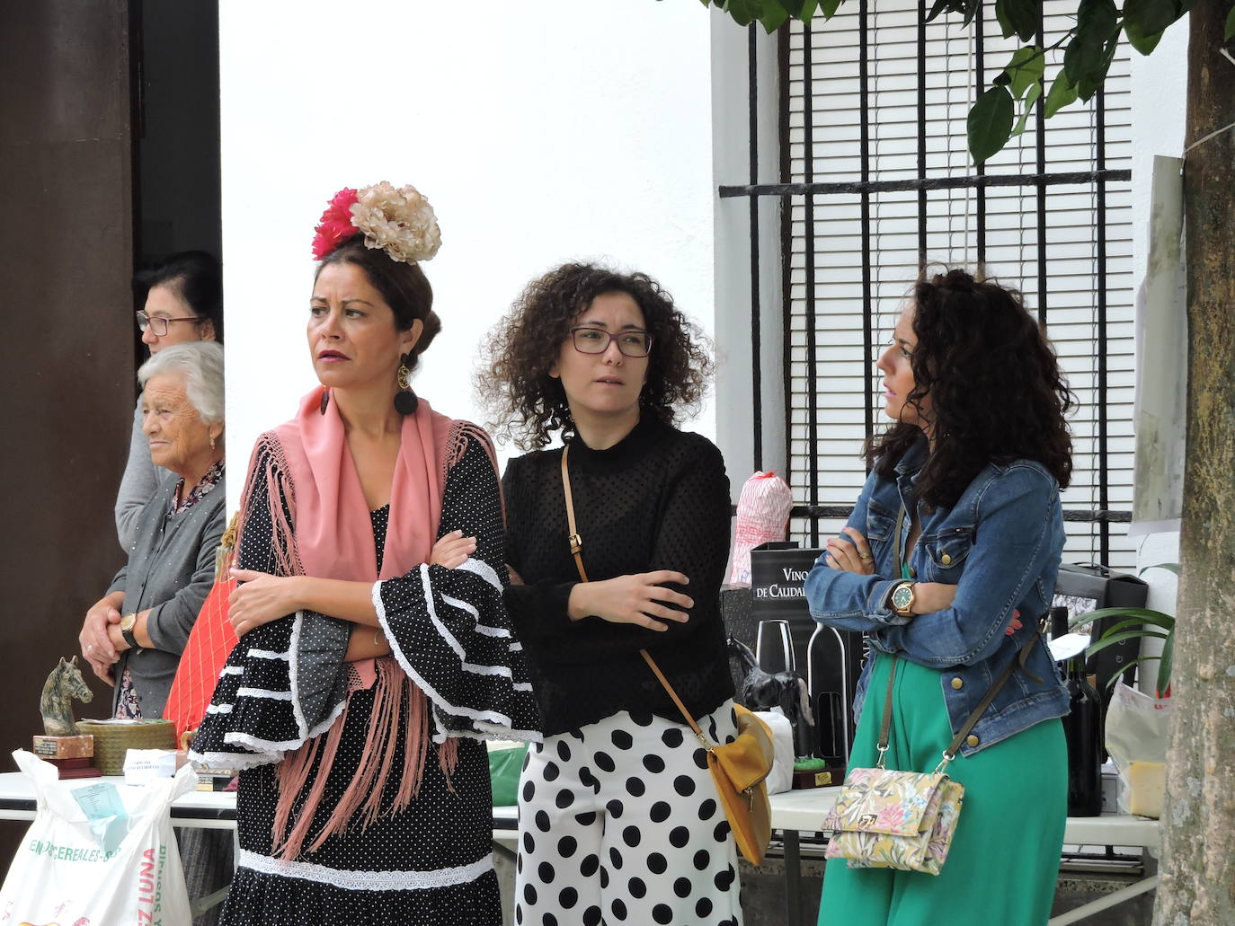 Fotos: Galería de fotos del Paseo a Caballo 2019 en Fregenal