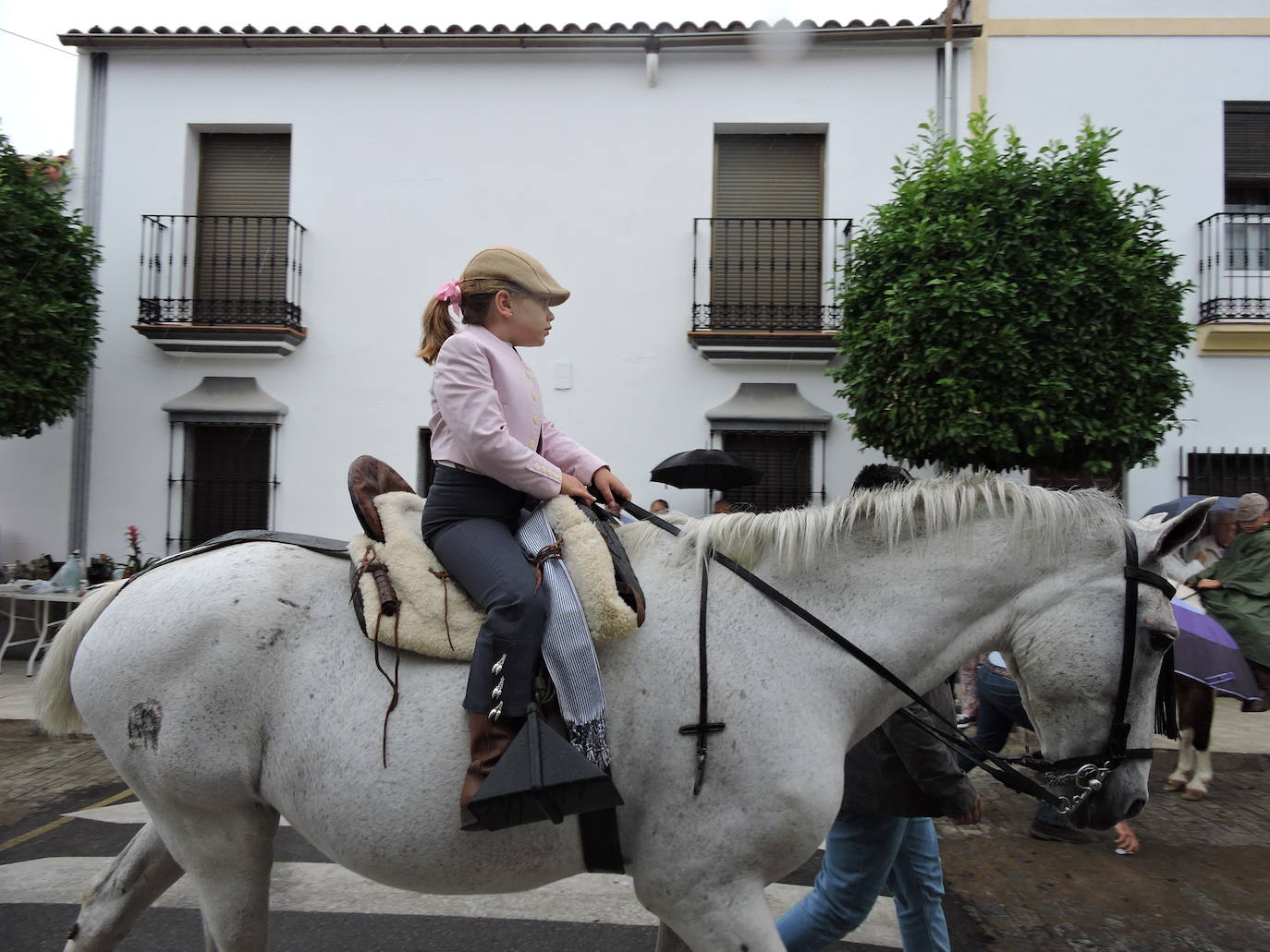 Fotos: Galería de fotos del Paseo a Caballo 2019 en Fregenal