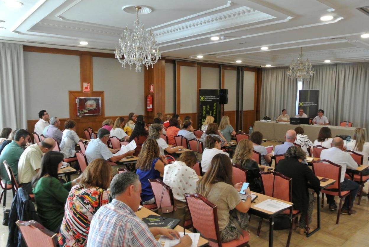 Asamblea en la que se constituyó ayer la nueva sectorial. :: HOY