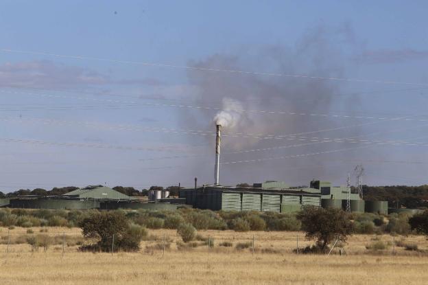 Humo que sale de la almazara de aceite. :: J.M. ROMERO