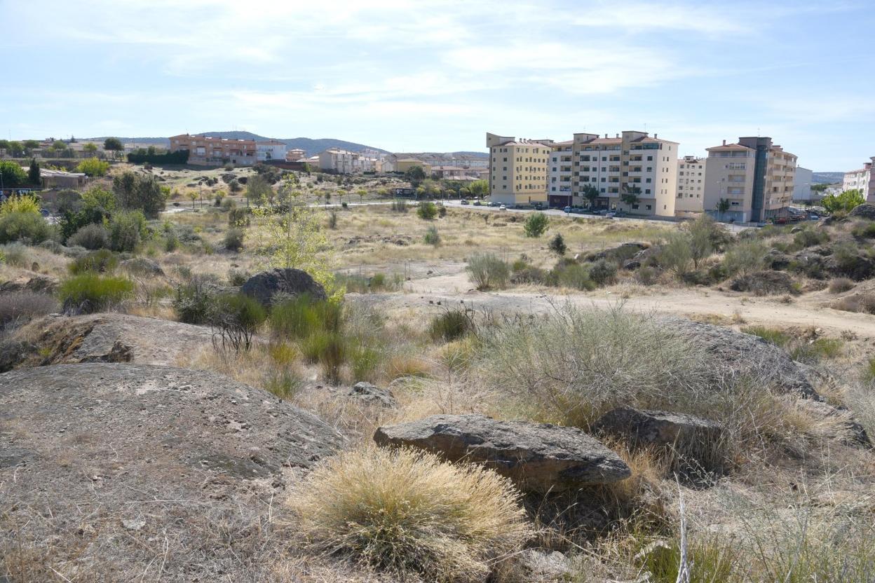 Parte de los terrenos que se urbanizarán en la zona de la Serrana a partir de febrero. :: david palma