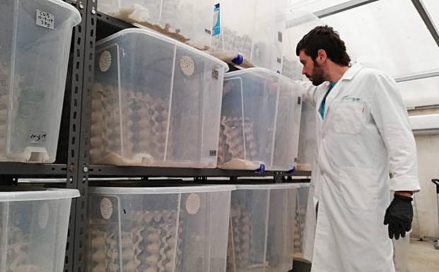 José Luis Sánchez trabajando en las instalaciones de su empresa, Entosur. 