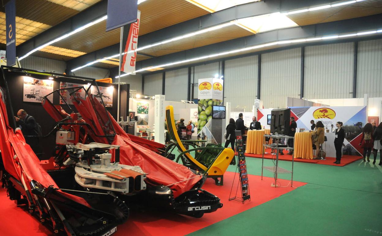 Celebración de Agroexpo en Feval:: HOY