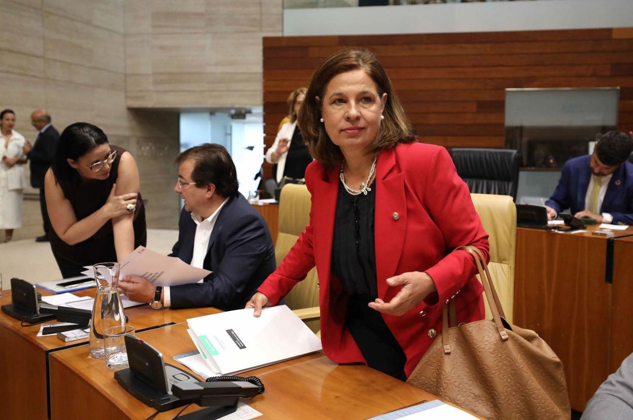 La vicepresidenta y consejera de Hacienda, Pilar Blanco-Morales, en la Asamblea. :: hoy