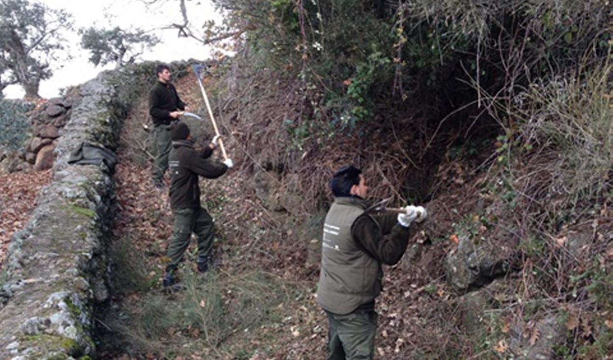Alumnos de un curso similar llevado a cabo en Losar. :: A.L.