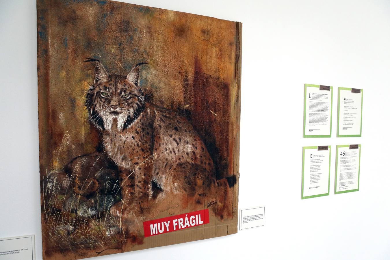 Fotos: Exposición de pintura &#039;Frágiles&#039; de Damián Retamar