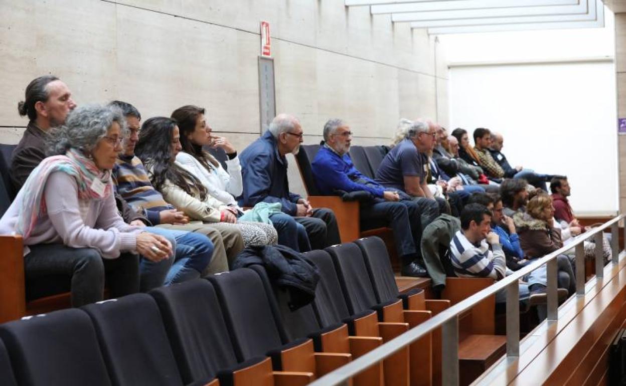 Representantes de la plataforma Salvemos la Montaña asistieron al pleno de la Asamblea en el que se debatió sobre la mina. :: 
