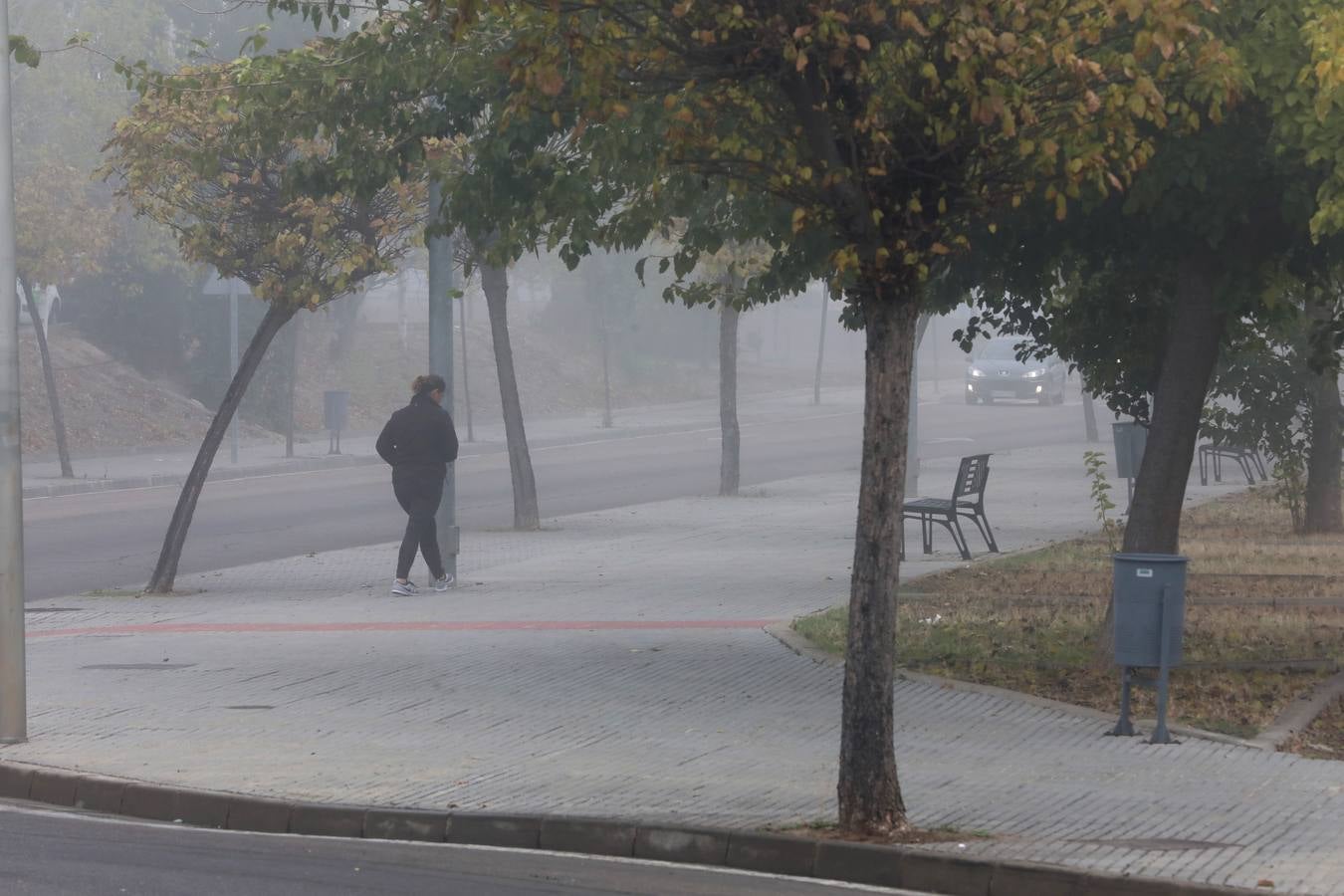 Fotos: El puente de Todos los Santos alternará lluvia y sol con una bajada de temperaturas