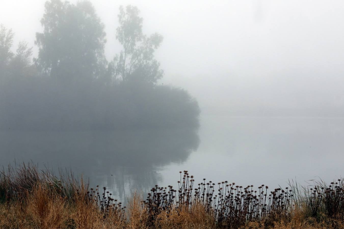 Fotos: El puente de Todos los Santos alternará lluvia y sol con una bajada de temperaturas