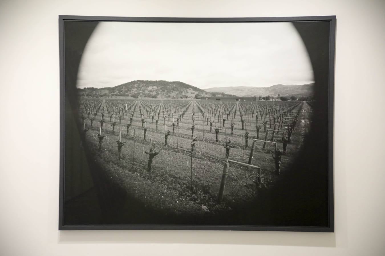 Fotos: La perspectiva esencial. Minimalismos en la colección Helga de Alvear