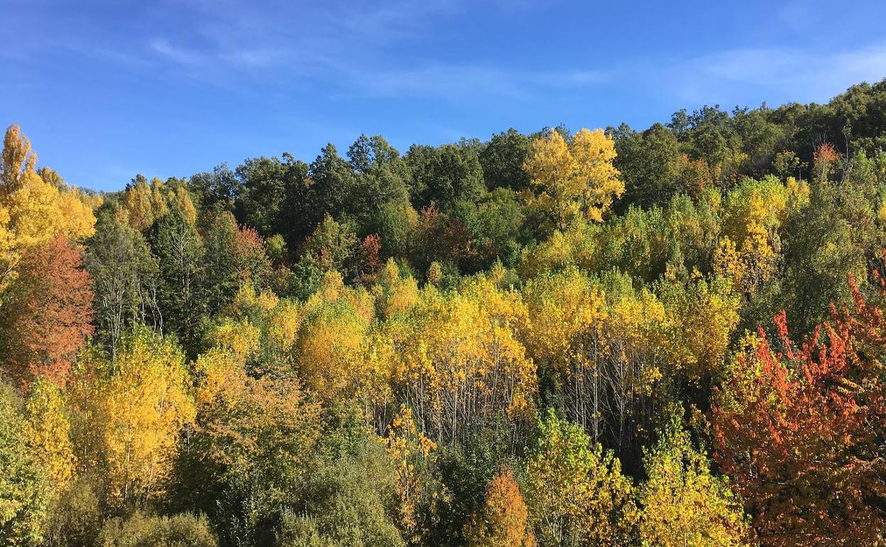 Colores otoñales en el Valle de Ambroz.