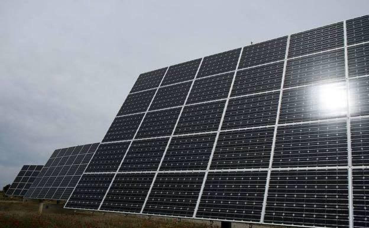 La Junta autoriza una fotovoltaica en Badajoz cuya inversión ronda los 40 millones