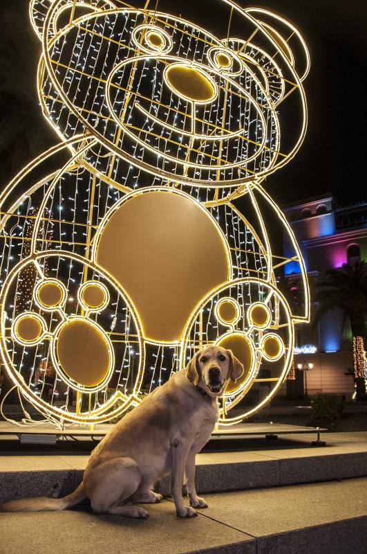 El Mercado Navideño del Paseo de San Francisco y la Nochevieja infantil en horario matinal y la nocturna con las 'uvas de la suerte' y una disco-móvil son los principales atractivos del programa de la Navidad 2019. 