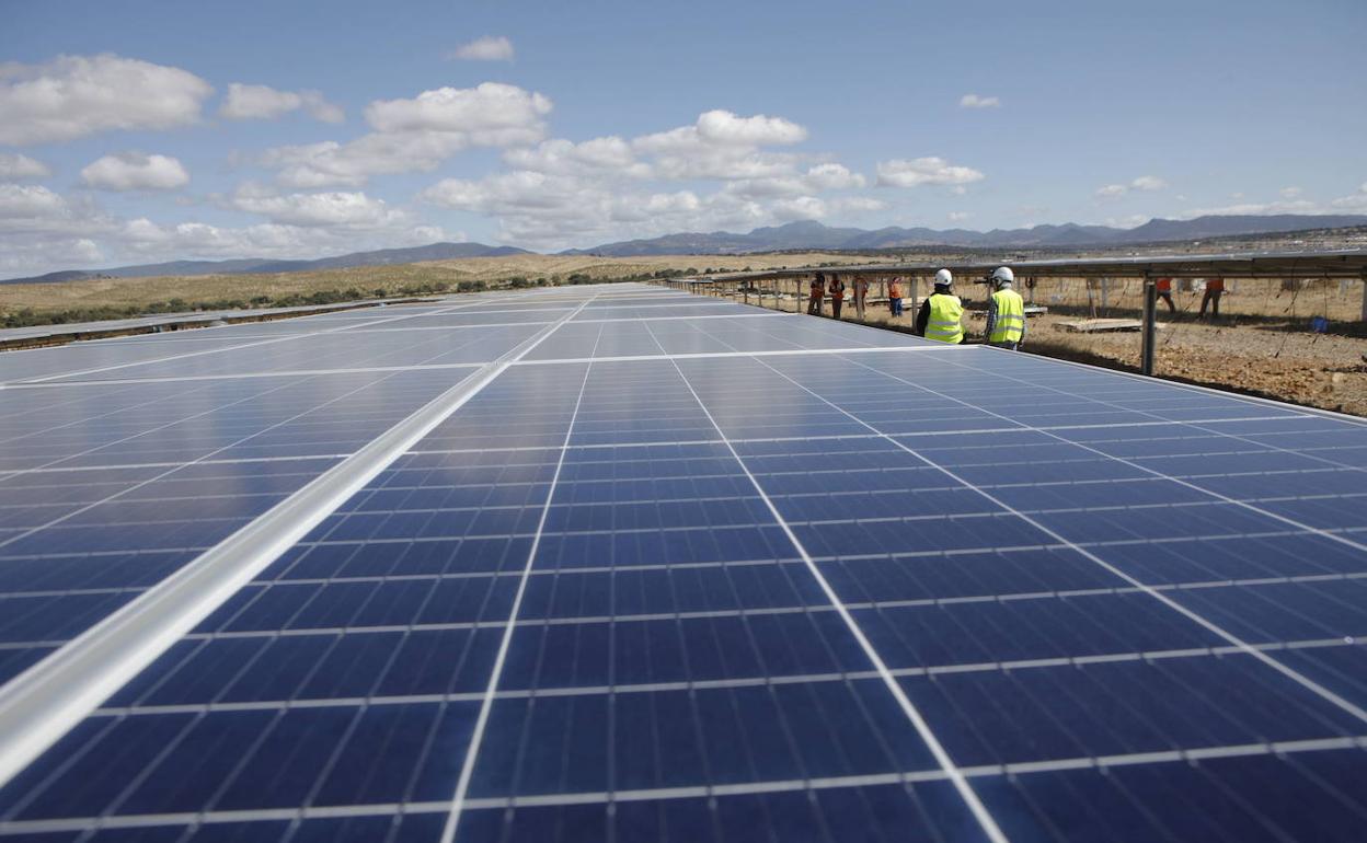 Planta fotovoltaica en construcción en la provincia de Cáceres. :: HOY