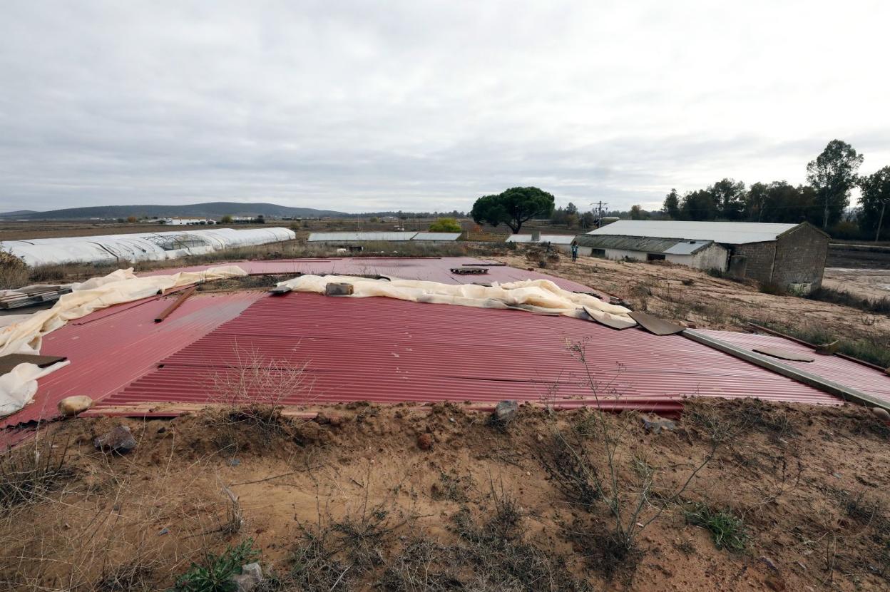 Chapas metálicas que tapan los restos. :: Brígido