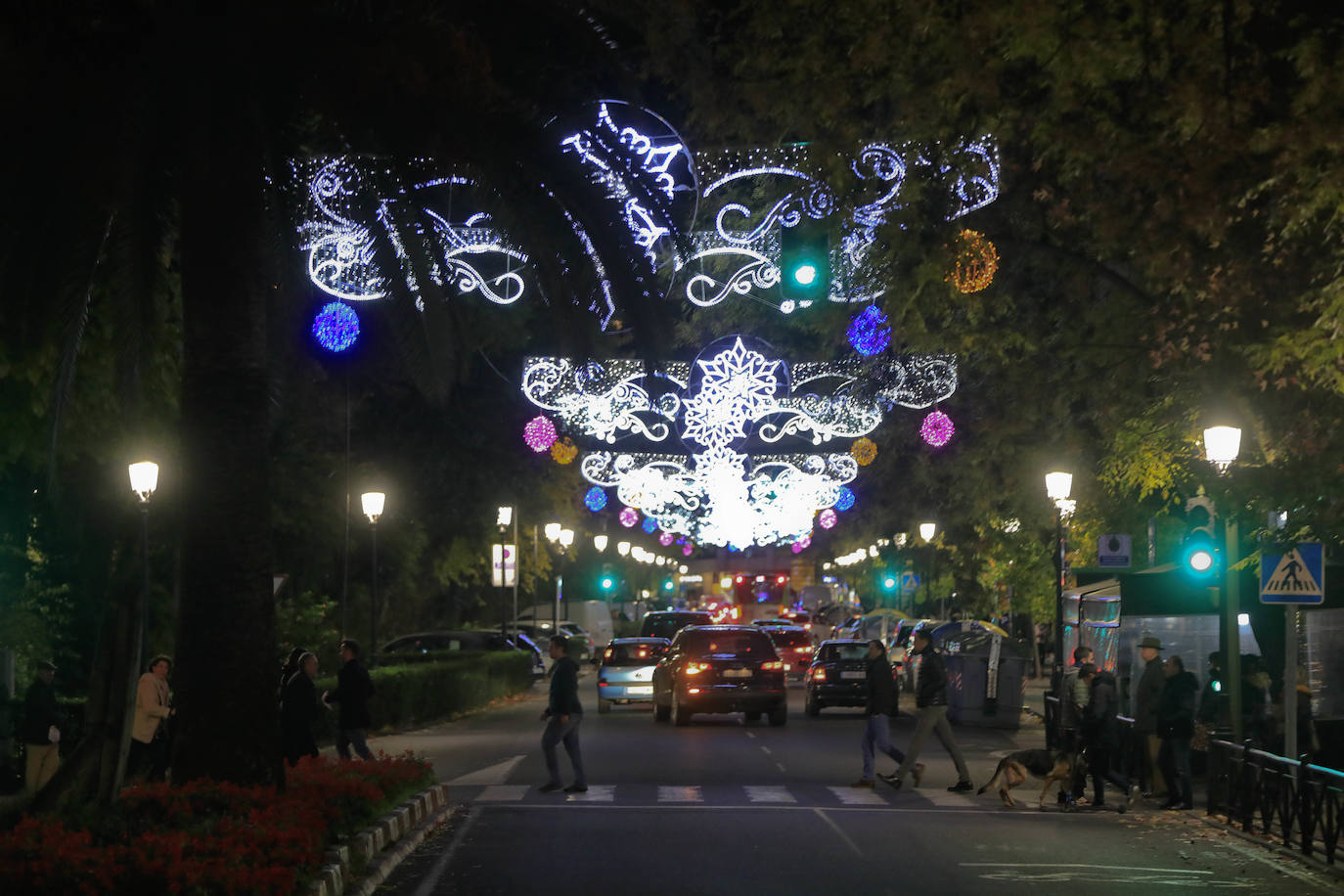 Fotos: La iluminación navideña de Cáceres, en imágenes
