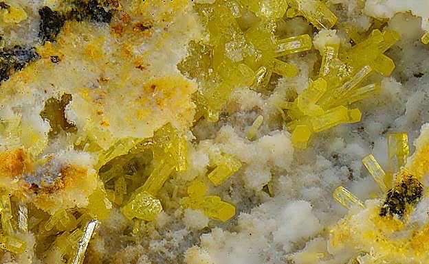 Mineralización de vanadio.