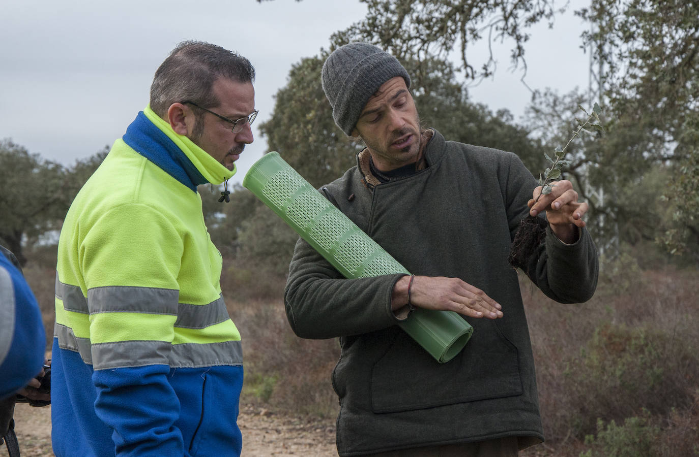 El lugar elegido en Badajoz para reforestar fue la parte alta del parque que perdió siete hectáreas en el incendio de 2017