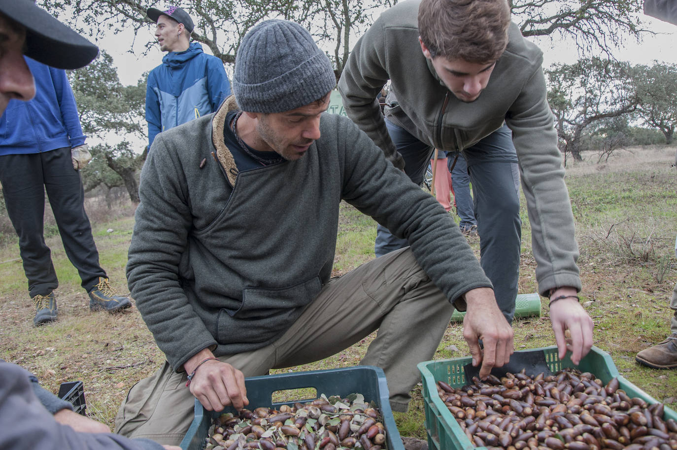 El lugar elegido en Badajoz para reforestar fue la parte alta del parque que perdió siete hectáreas en el incendio de 2017