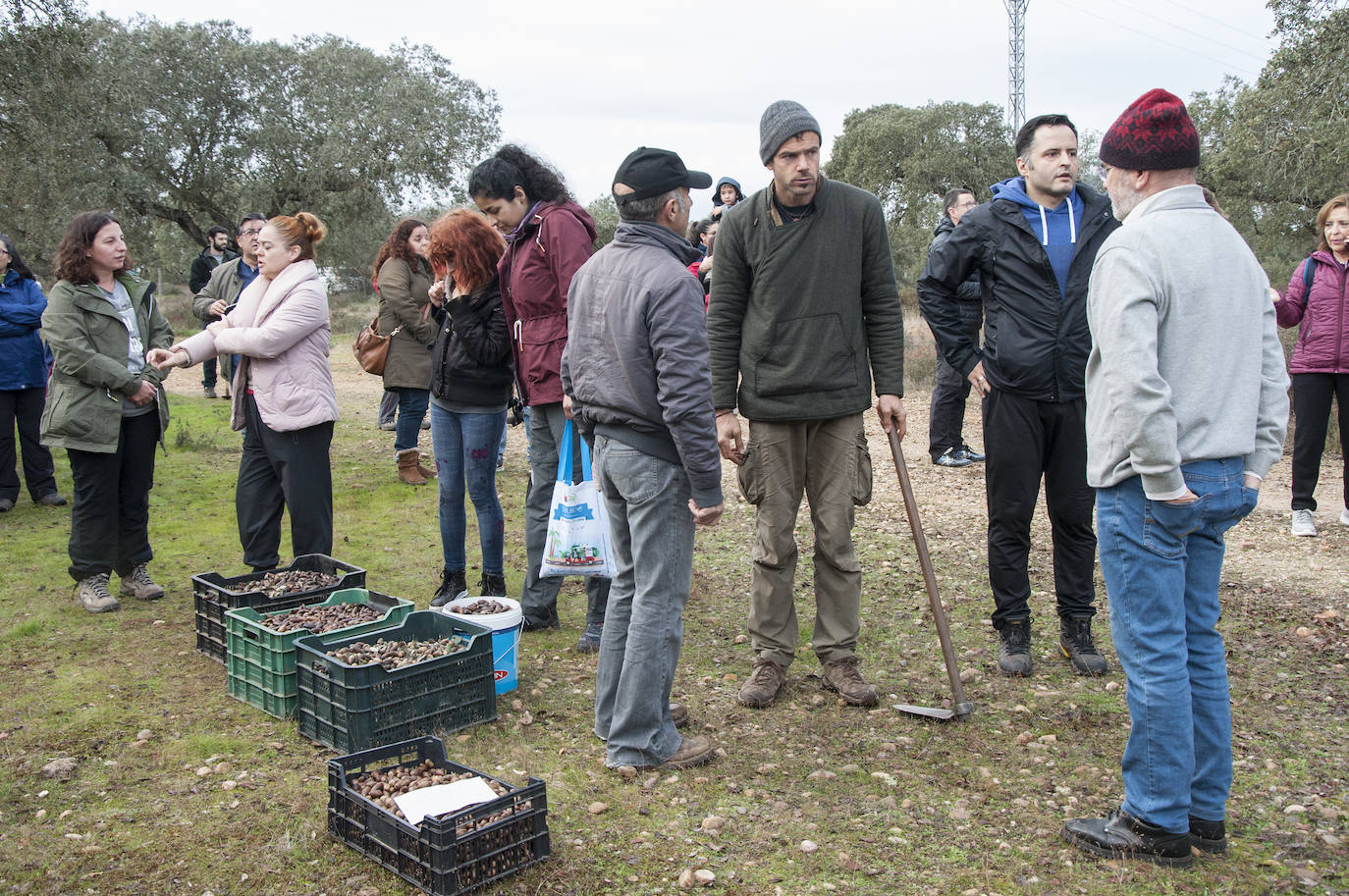 El lugar elegido en Badajoz para reforestar fue la parte alta del parque que perdió siete hectáreas en el incendio de 2017