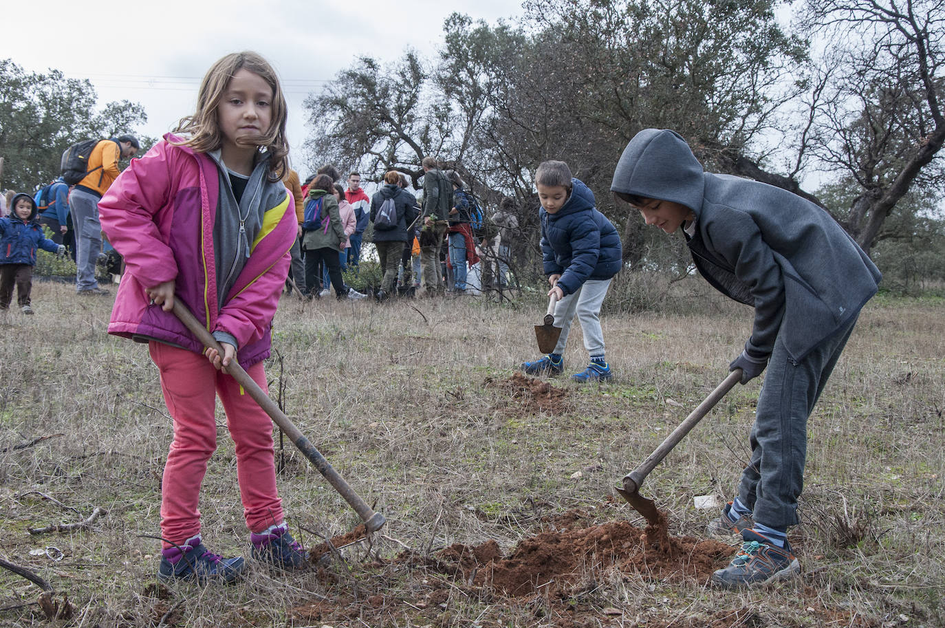 El lugar elegido en Badajoz para reforestar fue la parte alta del parque que perdió siete hectáreas en el incendio de 2017