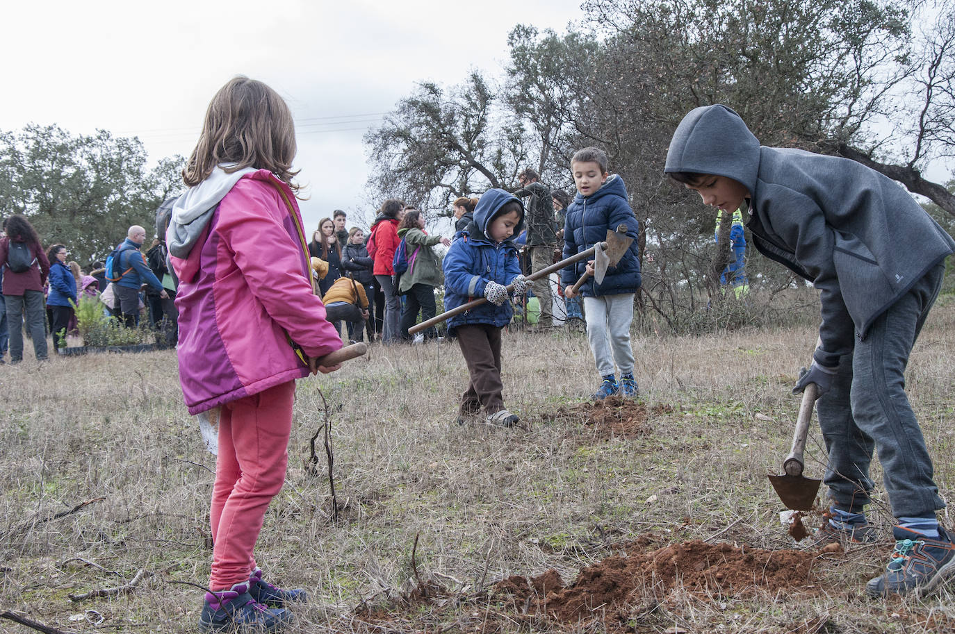 El lugar elegido en Badajoz para reforestar fue la parte alta del parque que perdió siete hectáreas en el incendio de 2017