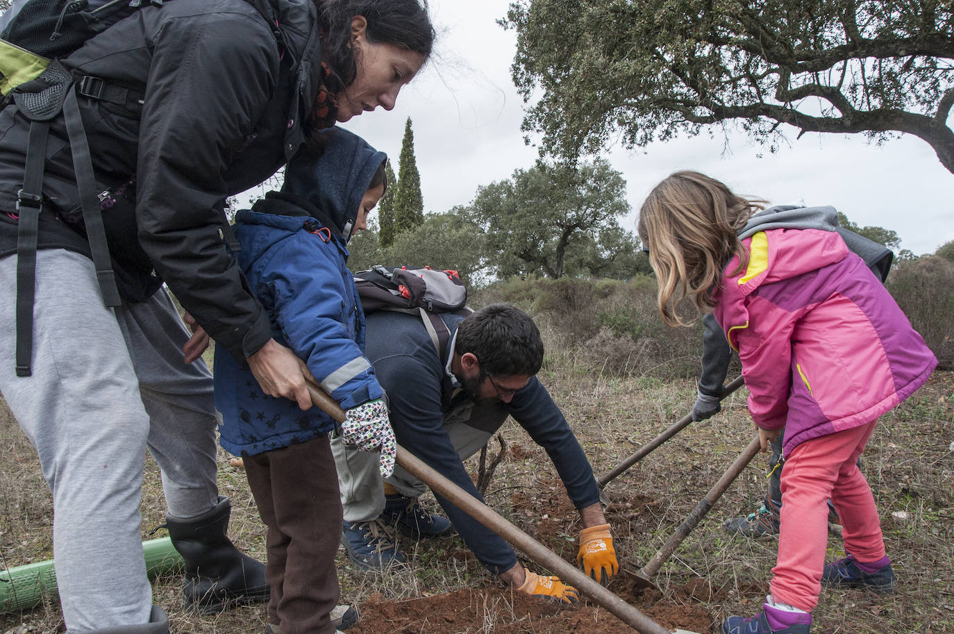 El lugar elegido en Badajoz para reforestar fue la parte alta del parque que perdió siete hectáreas en el incendio de 2017