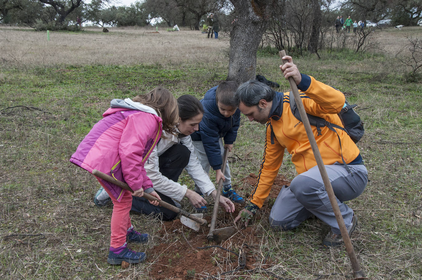 El lugar elegido en Badajoz para reforestar fue la parte alta del parque que perdió siete hectáreas en el incendio de 2017