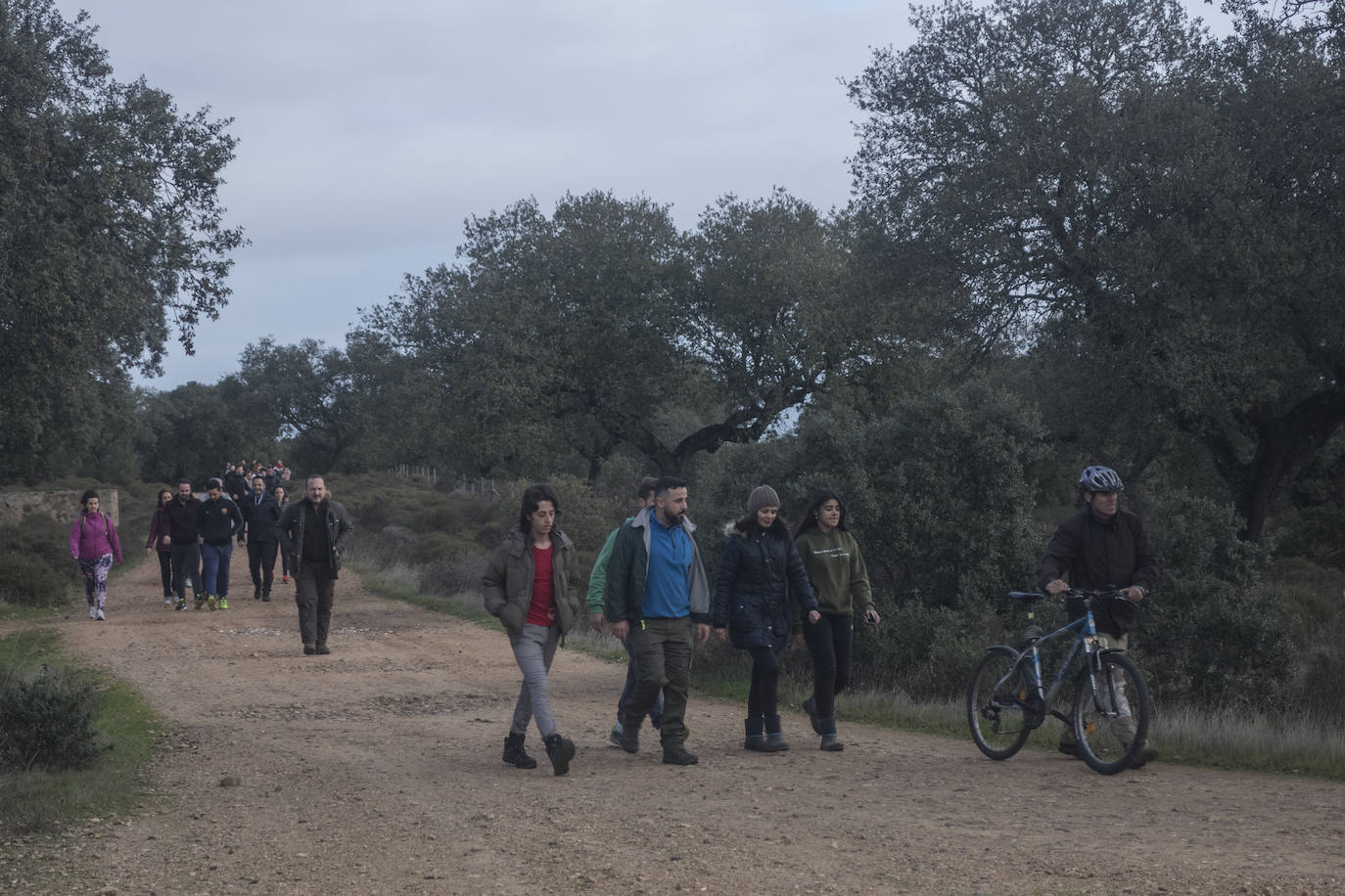 El lugar elegido en Badajoz para reforestar fue la parte alta del parque que perdió siete hectáreas en el incendio de 2017