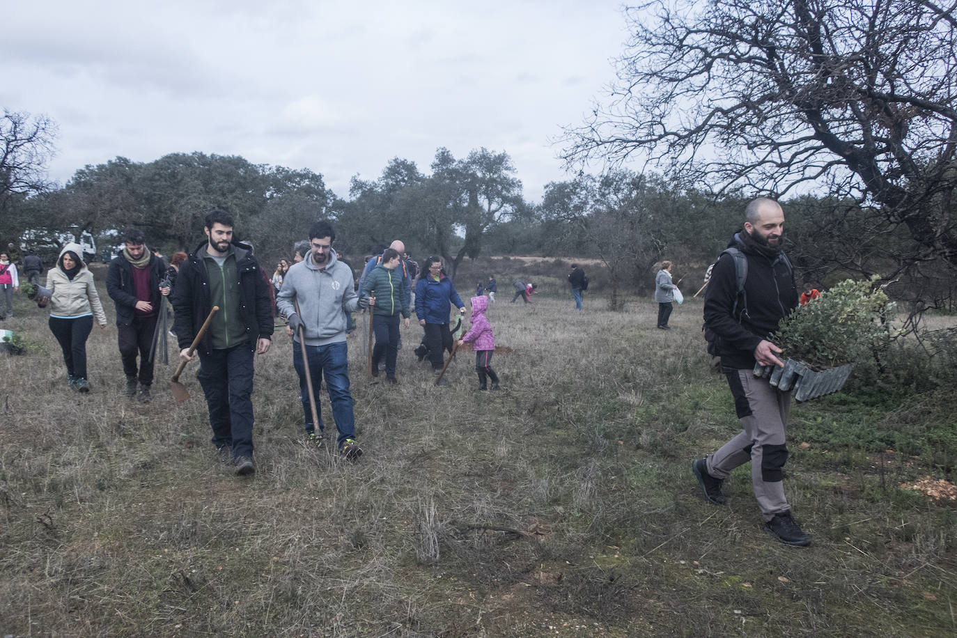 El lugar elegido en Badajoz para reforestar fue la parte alta del parque que perdió siete hectáreas en el incendio de 2017