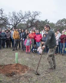 Imagen secundaria 2 - Catorce mil bellotas en Badajoz para alimentar Tres Arroyos