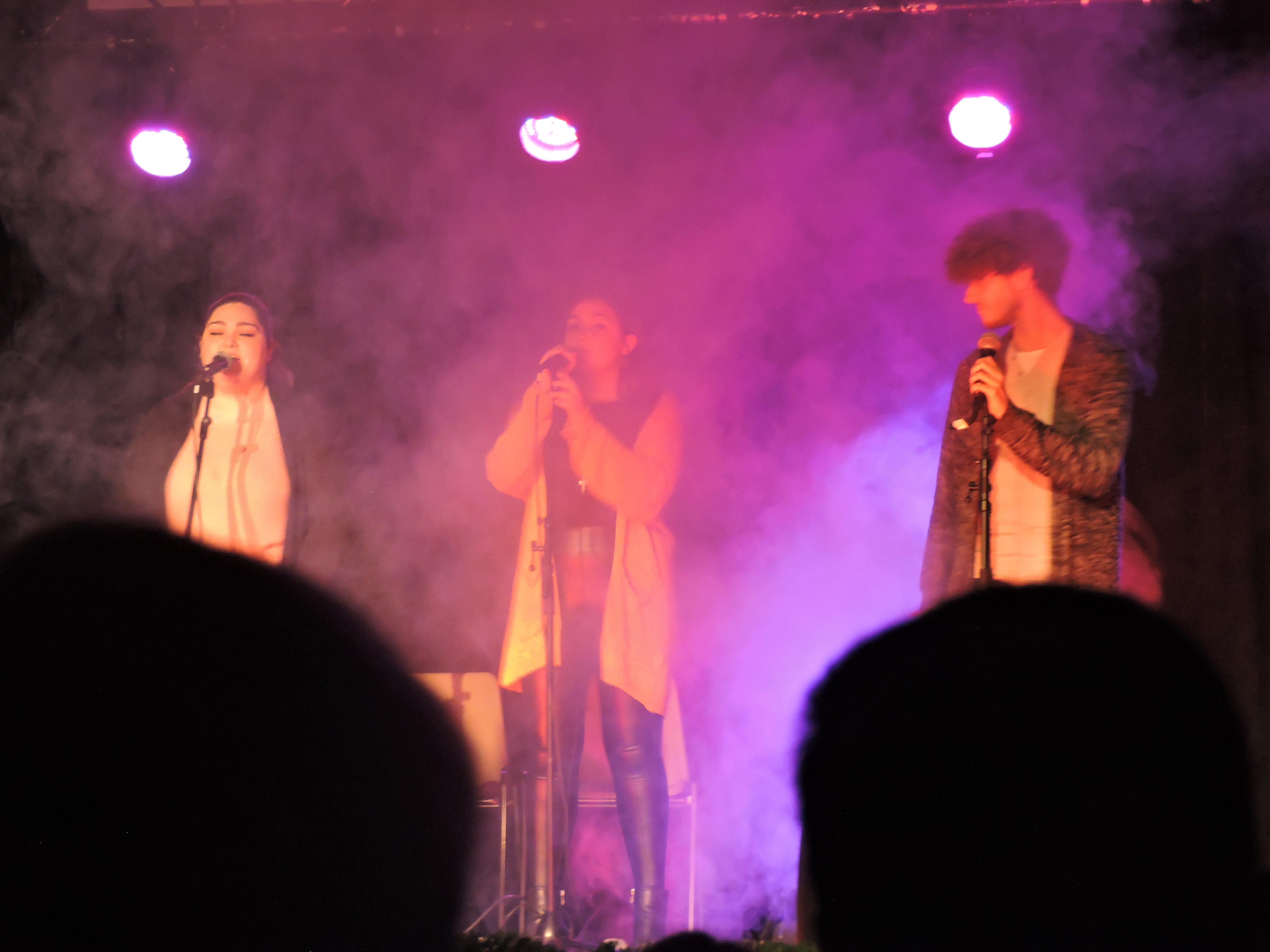 Fotos: Festival de la Solidaridad 2019 parte 1