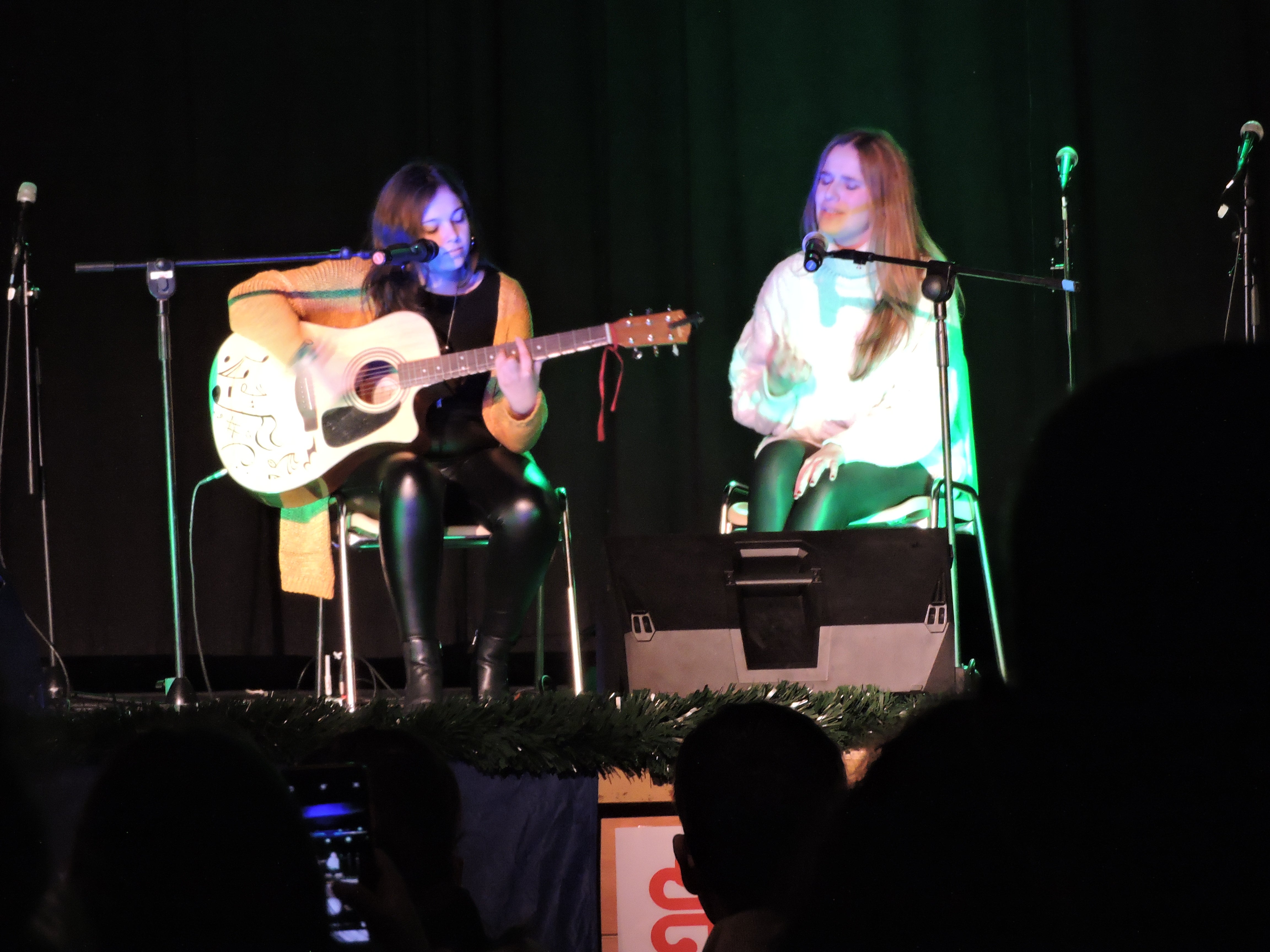 Fotos: Festival de la Solidaridad 2019 parte 2