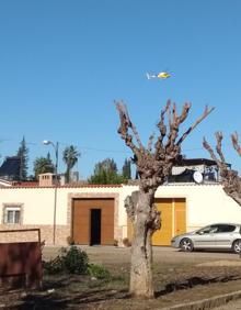 Imagen secundaria 2 - Centro Móvil de Operaciones de Cruz Roja Extremadura y medios de la Guardia Civil participantes en la búsqueda. Helicóptero sobrevolando Balboa: HOY/ ISABEL REDONDO