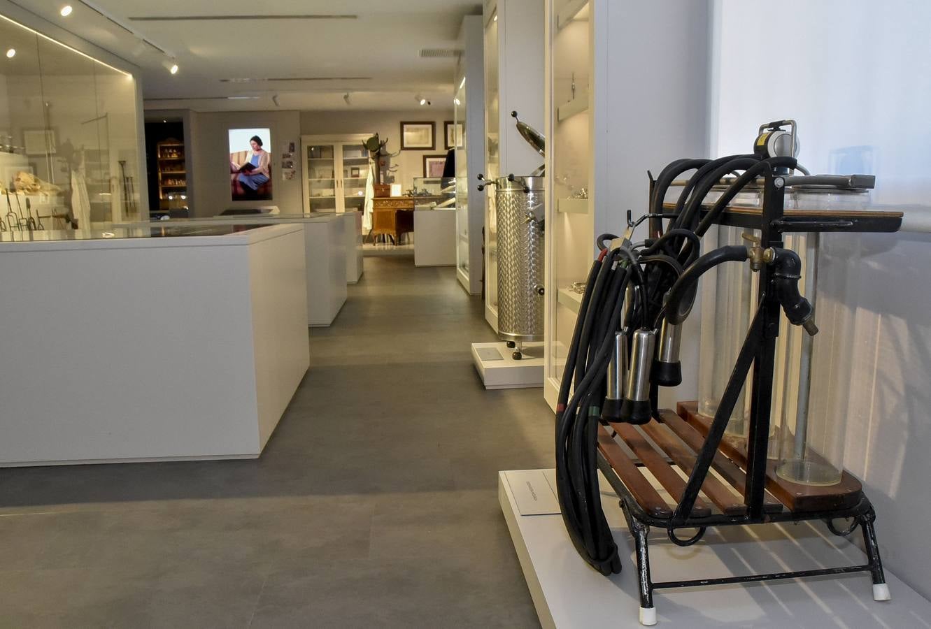 Fotos: El Museo de Veterinarios abrirá los fines de semana a todos los públicos