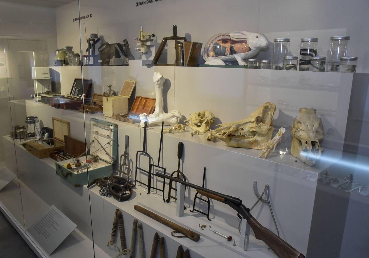 Fotos: El Museo de Veterinarios abrirá los fines de semana a todos los públicos