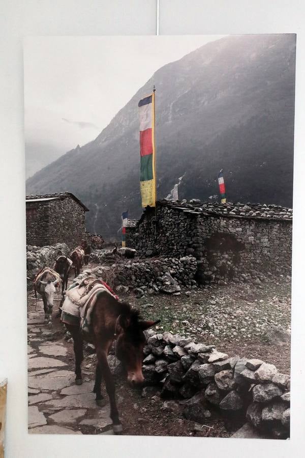 Fotos: La exposición &#039;Tamang&#039; del artista cacereño José Vegas