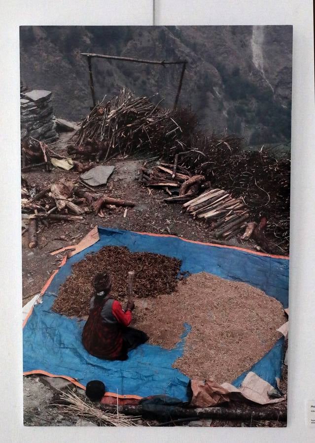 Fotos: La exposición &#039;Tamang&#039; del artista cacereño José Vegas