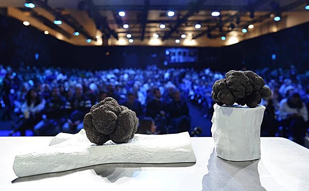 Las trufas negras de Soria subastadas en Reale Seguros Madrid Fusión.