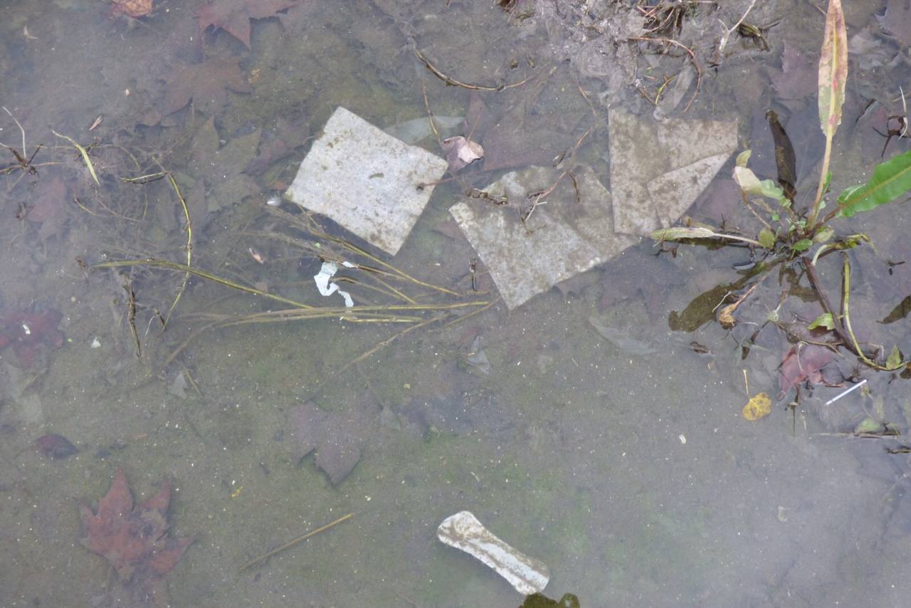 Plásticos, latas y desperdicios de todo tipo se pueden encontrar en el cauce y la ribera del afluente del Guadiana. 