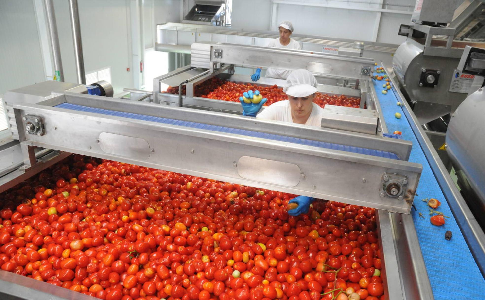 Los tomates conservados es el producto más exportado por la región a Reino Unido. :: 