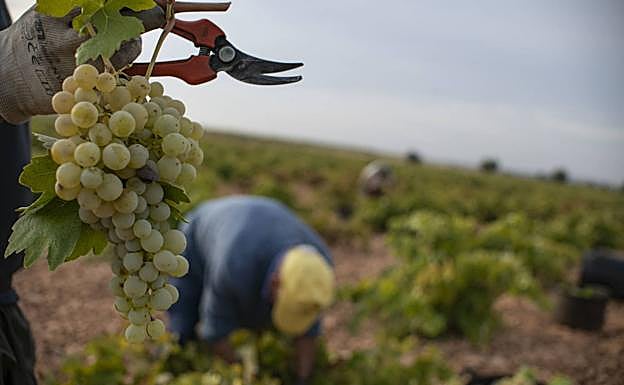 La Junta solo se sentará con Asaja, Apag y UPA para negociar el convenio del campo