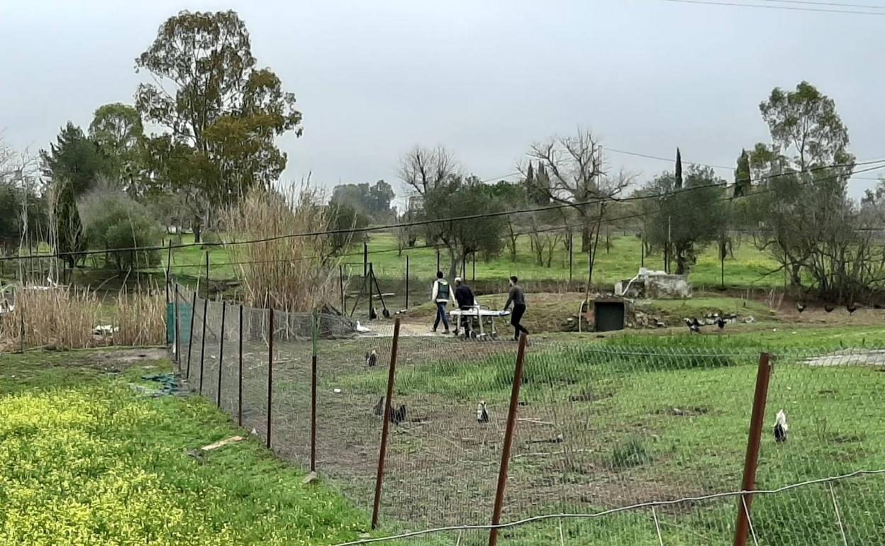 Prisión provisional sin fianza para el casero de Zafra detenido por matar a su inquilina