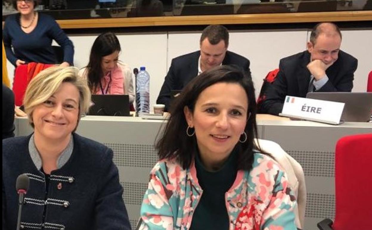 Extremadura representa a las regiones españolas en el Comité de Protección Civil de la UE hasta