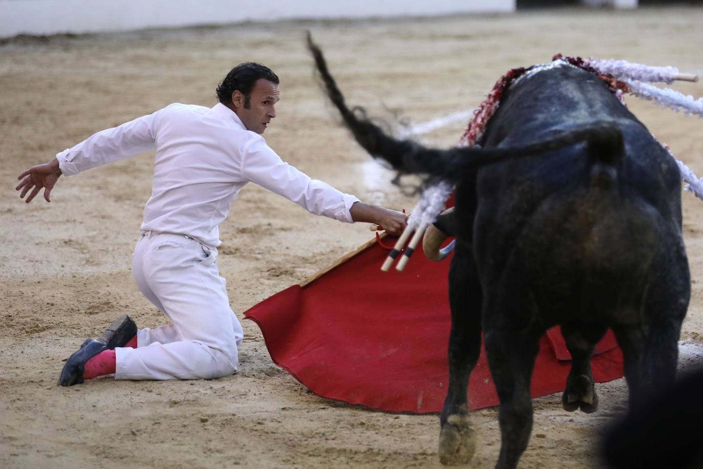 Fotos: Antonio Ferrera corta una oreja y sufre una cogida en Bogotá