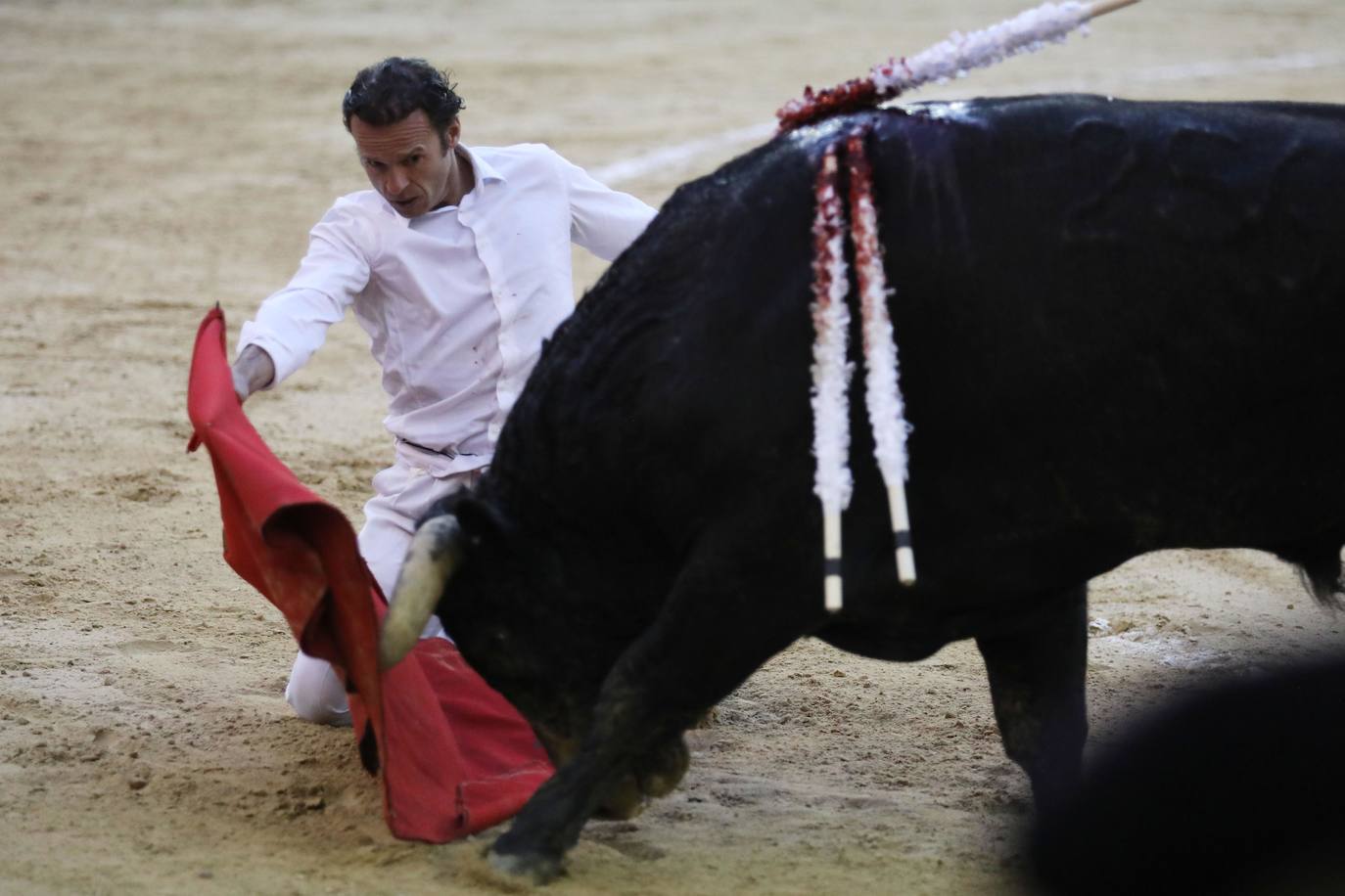 Fotos: Antonio Ferrera corta una oreja y sufre una cogida en Bogotá