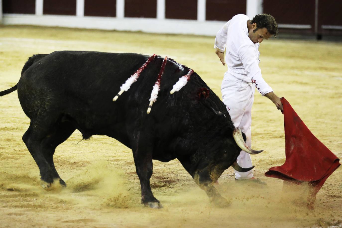 Fotos: Antonio Ferrera corta una oreja y sufre una cogida en Bogotá