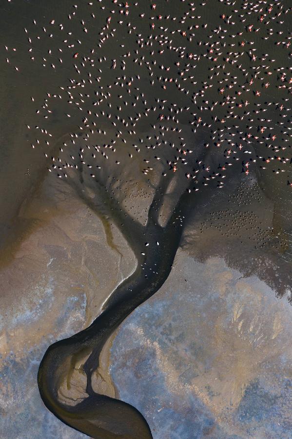 Fotos: El concurso fotográfico de FIO anuncia sus ganadores